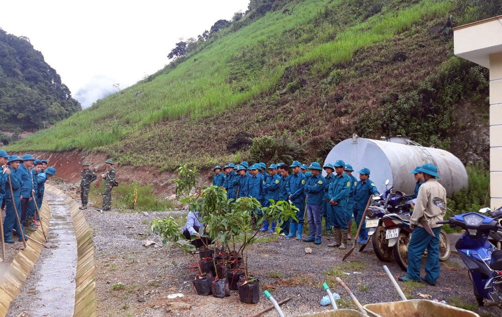 Bộ đội giúp dân trồng cây bơ giữa sào huyệt ma túy ở Lóng Luông - Ảnh 3.