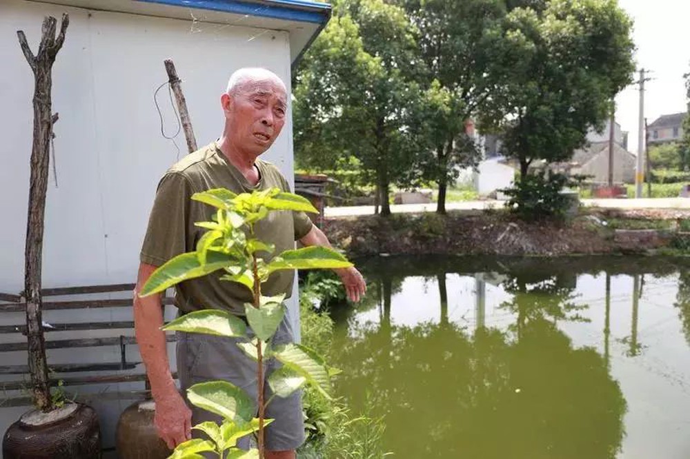 Cụ ông 80 tuổi cứu cậu bé bị đuối nước rồi phát hiện 30 năm trước cũng chính ông đã cứu bố của đứa trẻ - Ảnh 1.