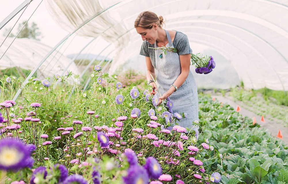 Cuộc sống yên bình và ngọt ngào của cô gái từ bỏ công việc văn phòng nhàm chán để chăm sóc cánh đồng hoa đẹp như cổ tích - Ảnh 29.