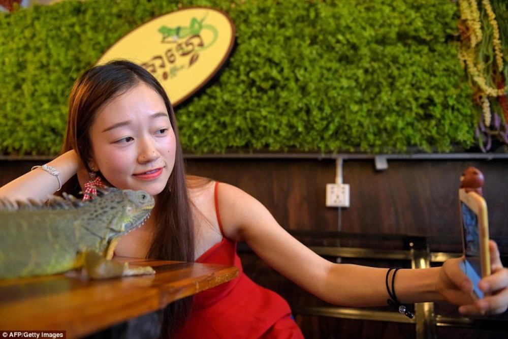 Giới trẻ Campuchia bị hút hồn với quán cà phê bò sát - Ảnh 3.
