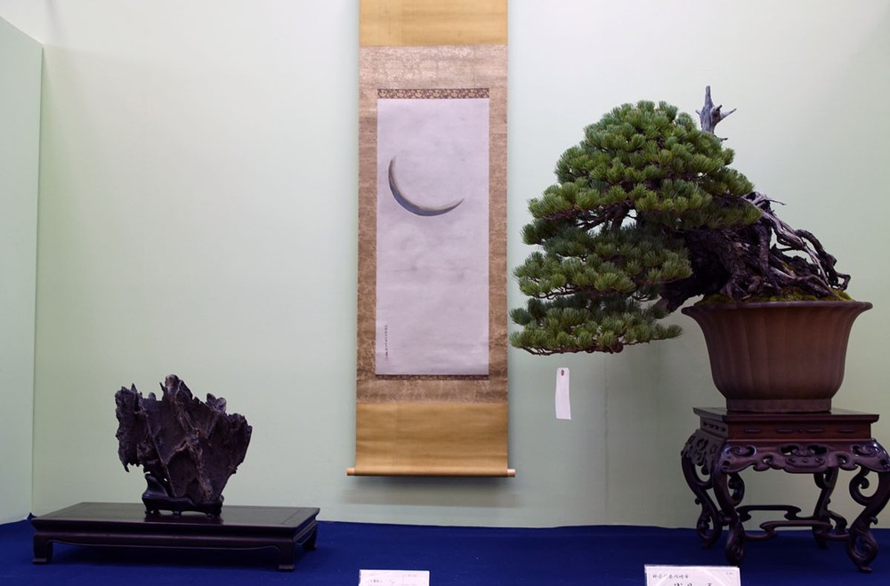 Tuyệt tác bonsai Nhật giá cắt cổ 3,8 tỷ đồng trông như thế nào? - Ảnh 20.