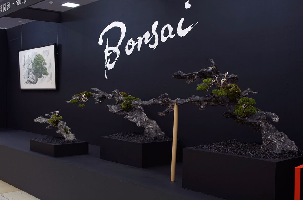 Tuyệt tác bonsai Nhật giá cắt cổ 3,8 tỷ đồng trông như thế nào? - Ảnh 16.
