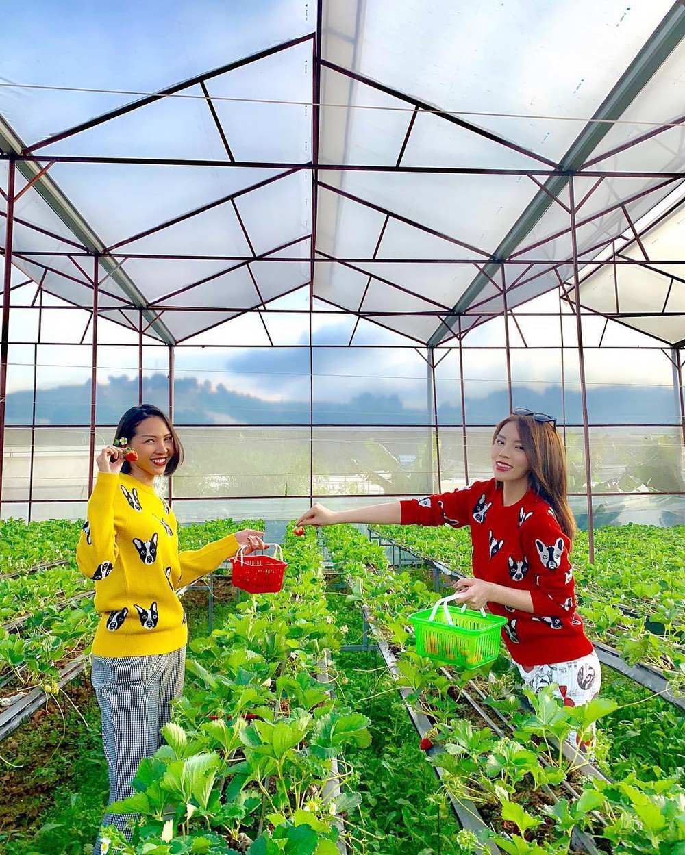 Diệp Lâm Anh đăng ảnh tất niên cùng hội bạn dì nhưng dân mạng lại chỉ chú ý đến cặp đôi Minh Triệu - Kỳ Duyên - Ảnh 4.