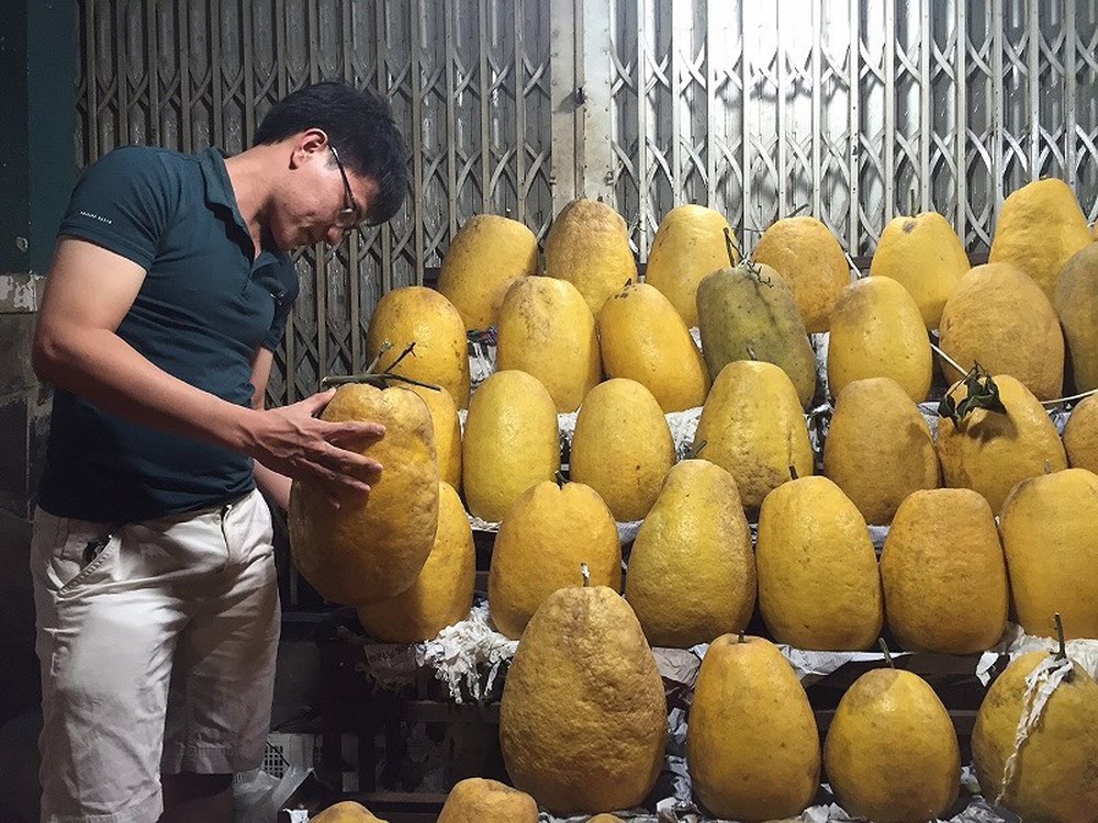 Bất ngờ với bưởi Kỳ Đà nặng 15 kg tiền triệu trưng Tết - Ảnh 4.
