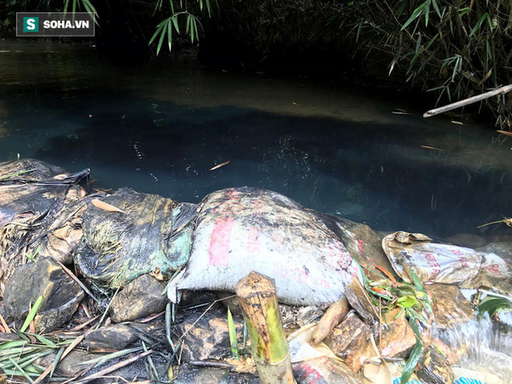 Nhân chứng kể việc phát hiện dầu thải đổ trộm xuống suối đầu nguồn nhà máy nước sông Đà - Ảnh 4.
