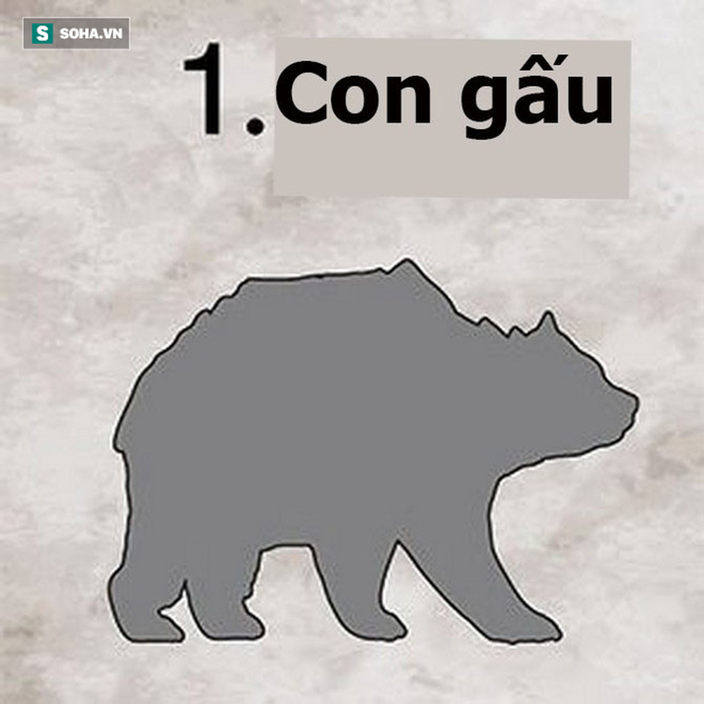 Khám phá giới hạn của bản thân? Chỉ cần chọn hình ảnh đầu tiên bạn nhìn thấy - Ảnh 1.