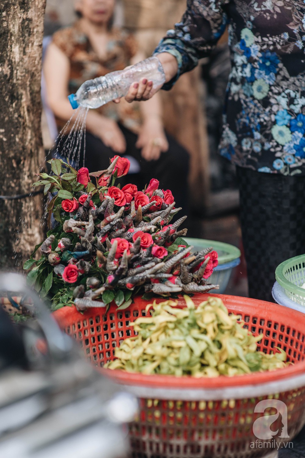 Triết lý sung sướng phụ nữ hiện đại nào cũng phải học từ cụ bà 81 tuổi bán hoa gói lá 70 năm ở góc chợ Đồng Xuân - Ảnh 7.