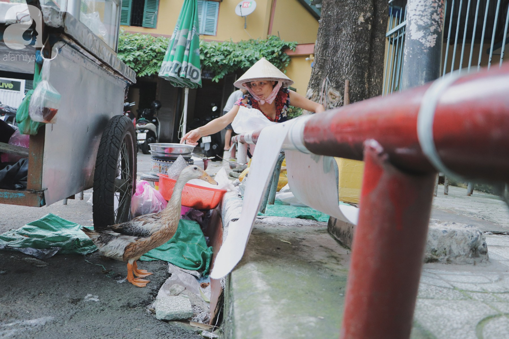 Câu chuyện kỳ lạ về tình mẫu tử của người phụ nữ bán trái cây và chú vịt biết làm nũng ở Sài Gòn - Ảnh 1.