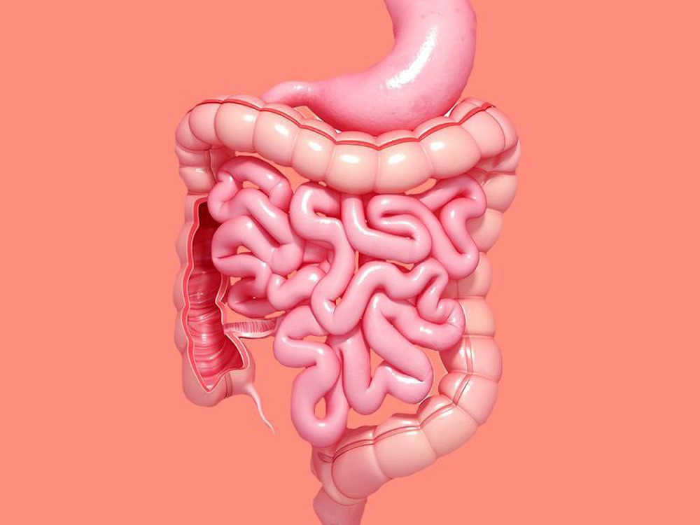 Đông y Trị liệu: Hướng dẫn cách xoa bụng dưỡng sinh và hỗ trợ chữa bệnh ở hệ tiêu hóa - Ảnh 1.