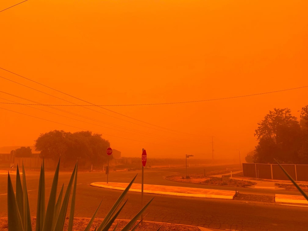 24h qua ảnh: Bầu trời ở Australia chuyển màu cam vì cháy rừng - Ảnh 2.