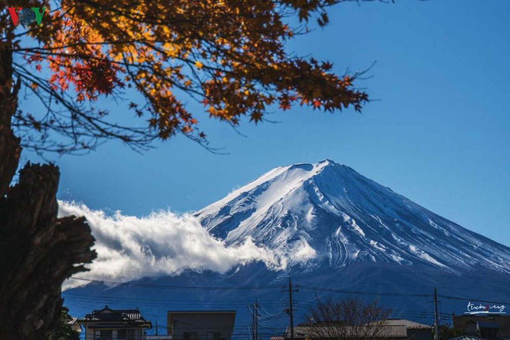Vẻ đẹp quyến rũ mê hồn của mùa thu trên đỉnh núi Phú Sĩ (Nhật Bản) - Ảnh 9.