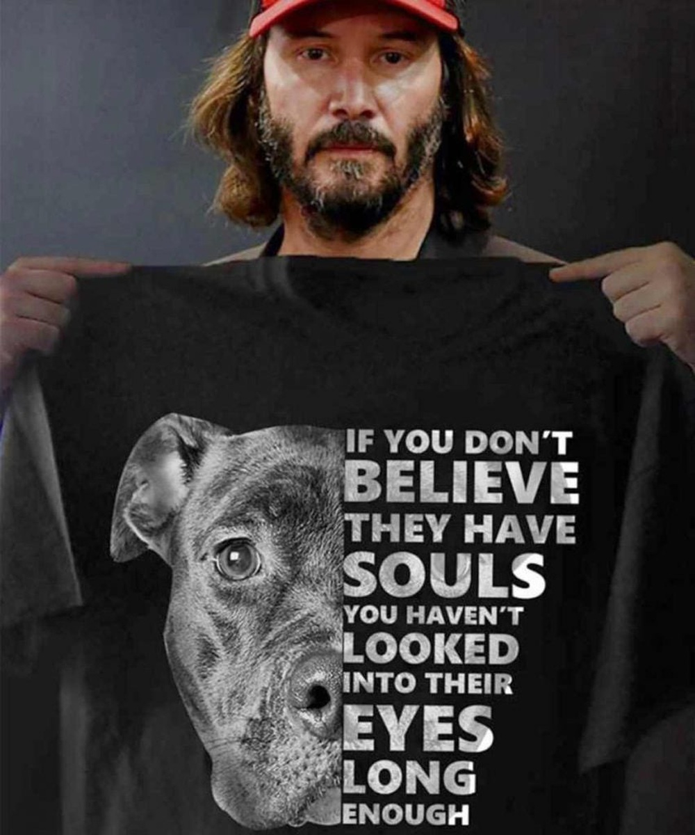 Assassin John Wick: Crazy in love with dogs in the movie, what about the truth in real life?  - Photo 6.