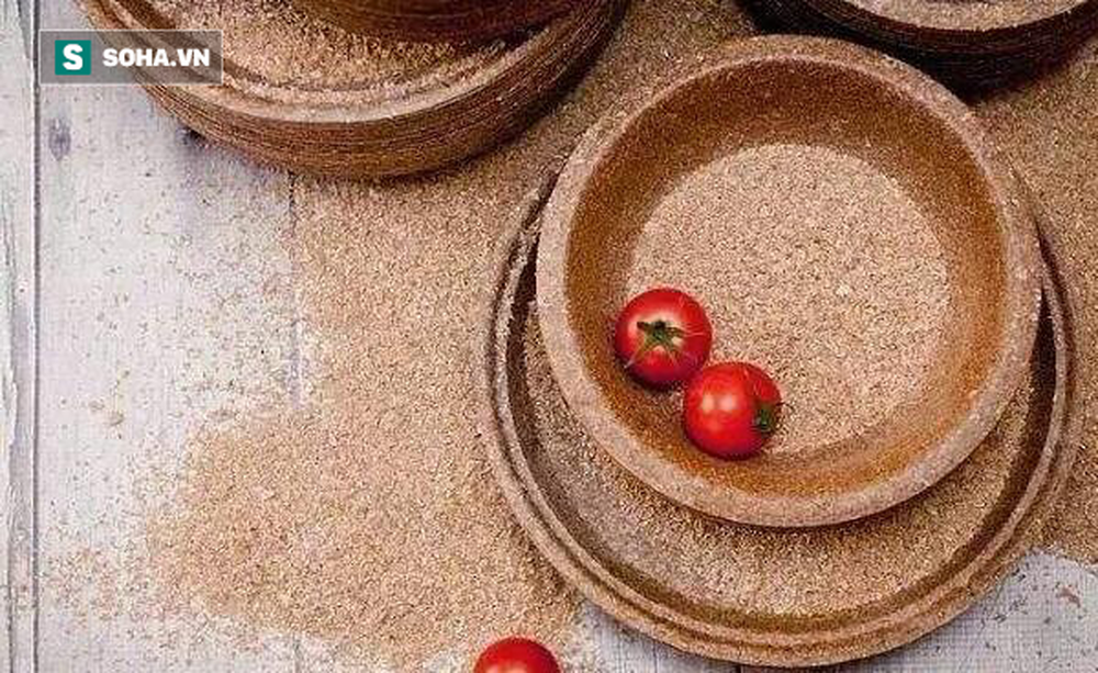 Cảnh báo: Dụng cụ đựng đồ ăn bảo vệ môi trường có thể chứa 2 chất độc phá hủy sức khỏe - Ảnh 1.