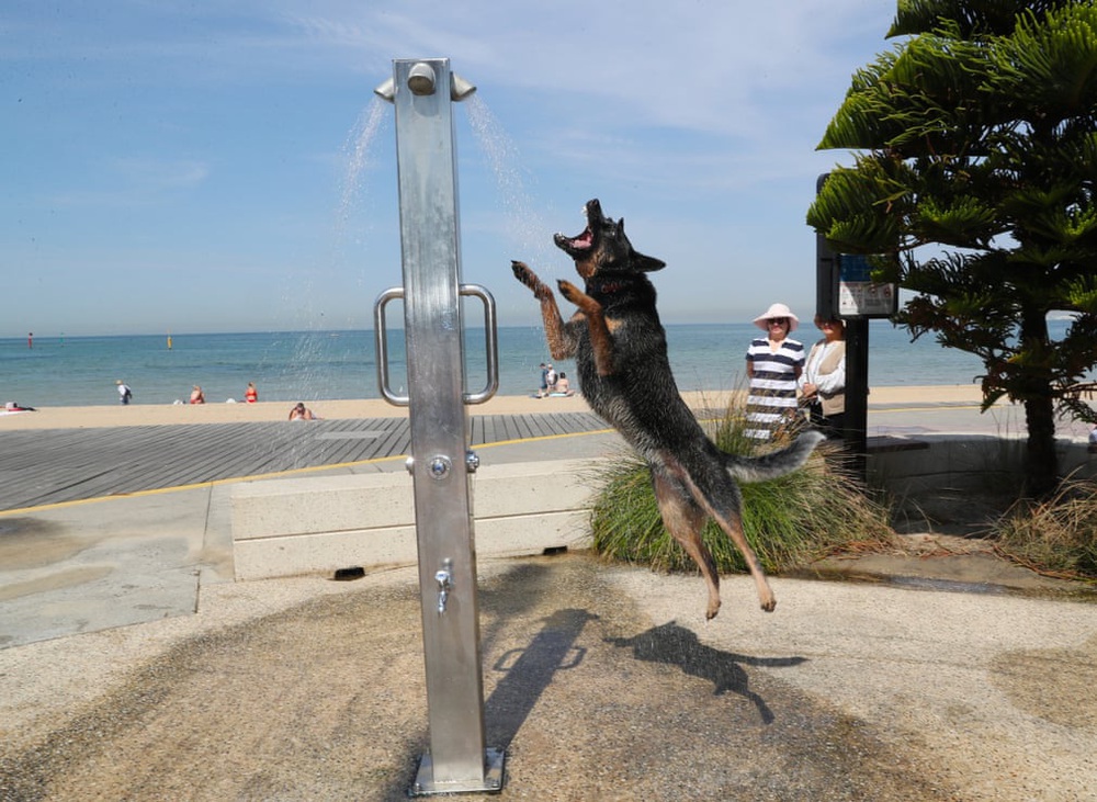 24h qua ảnh: Chú chó giải nhiệt dưới cột phun nước ở Australia - Ảnh 3.