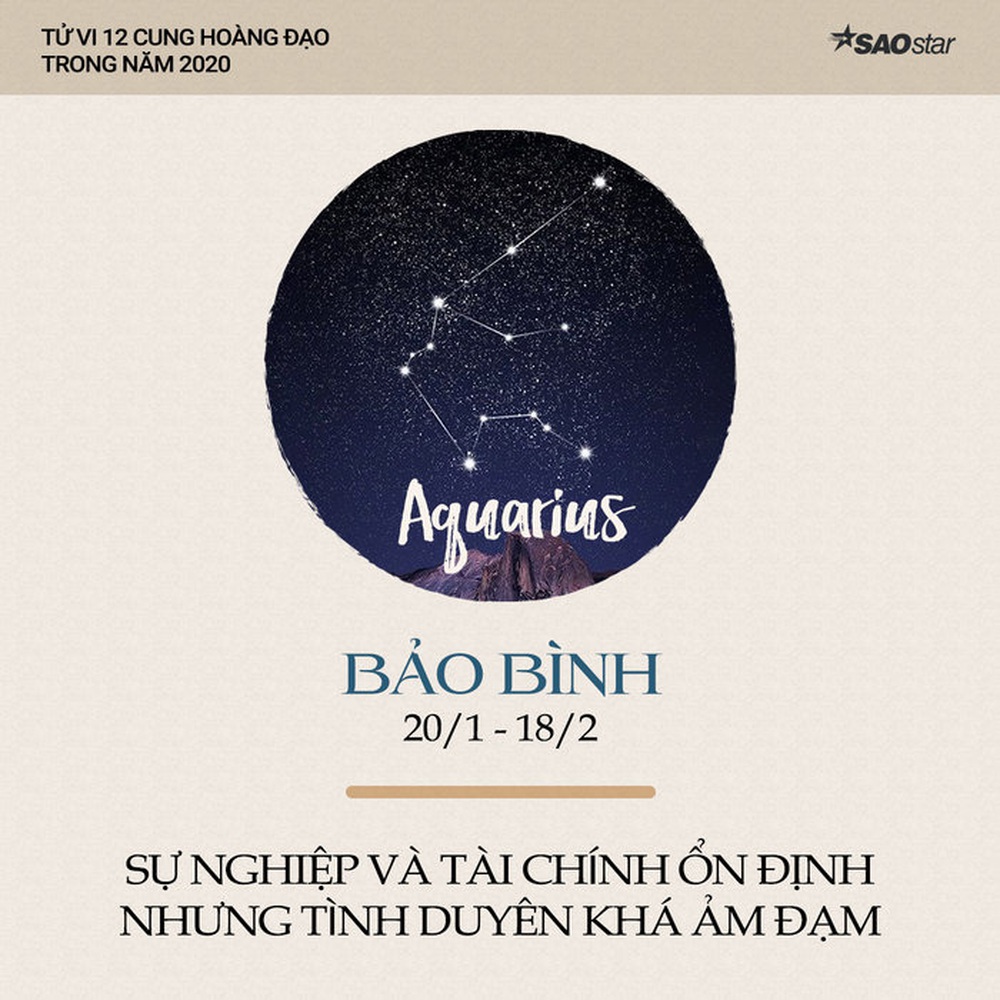 Xem tử vi cung Bảo Bình năm 2020: Sự nghiệp và tài chính ổn định nhưng tình duyên khá ảm đạm - Ảnh 1.