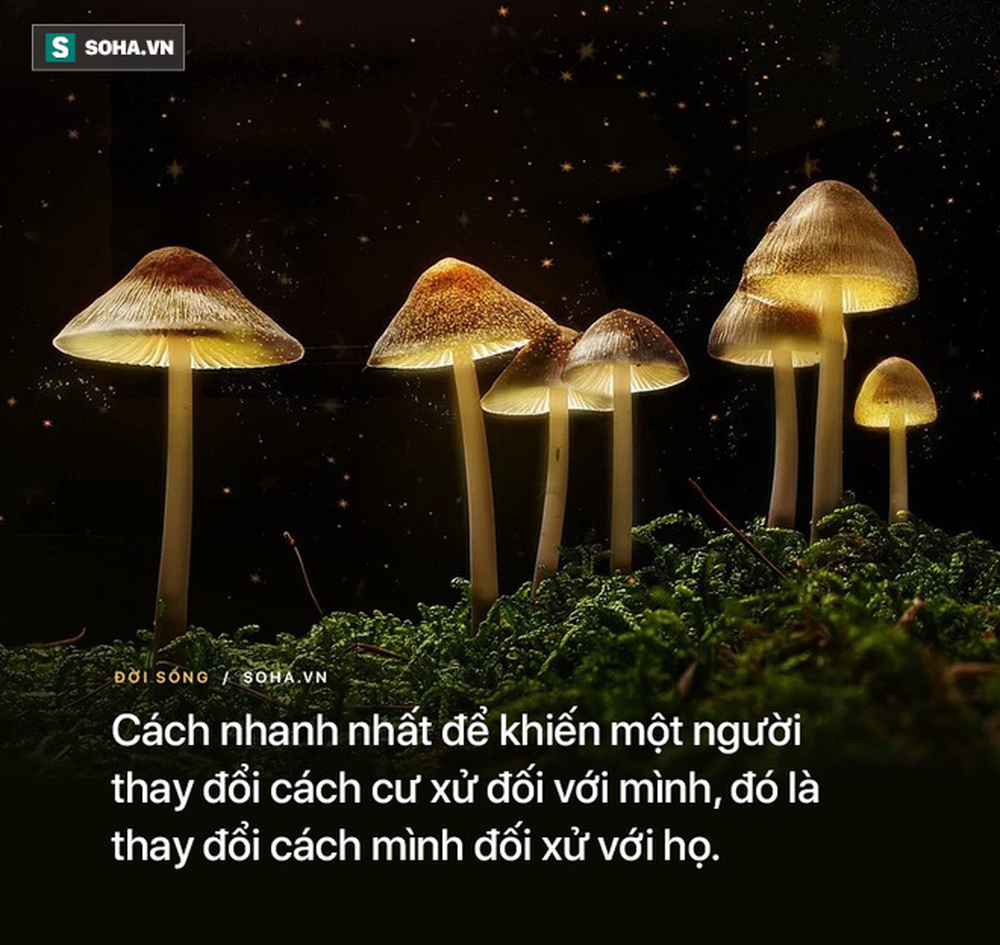 4 việc phàm là người thông minh đều không bao giờ làm, hãy xem bạn làm được mấy việc! - Ảnh 3.