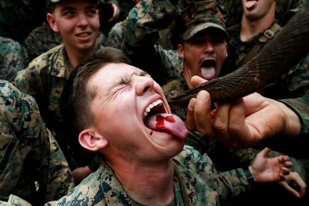 24h qua ảnh: Lính thủy đánh bộ Mỹ uống máu rắn hổ mang để sống sót - Ảnh 3.