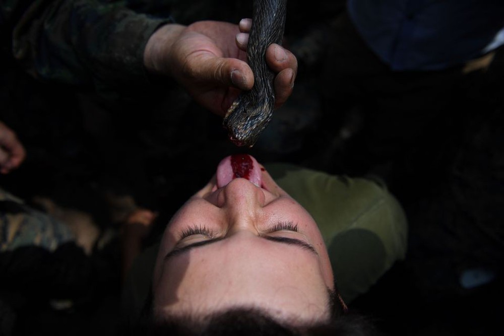Lính Mỹ uống máu rắn hổ mang, nhai bọ cạp sống để sinh tồn - Ảnh 5.