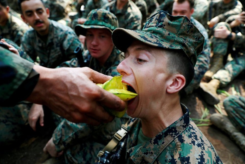 Lính Mỹ uống máu rắn hổ mang, nhai bọ cạp sống để sinh tồn - Ảnh 5.