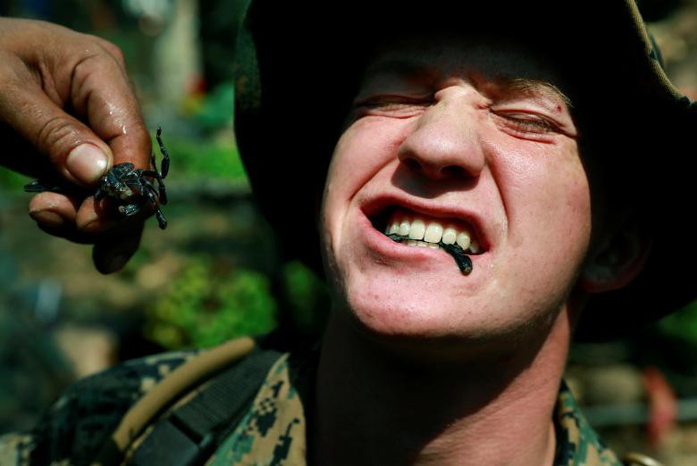 Lính Mỹ uống máu rắn hổ mang, nhai bọ cạp sống để sinh tồn - Ảnh 6.