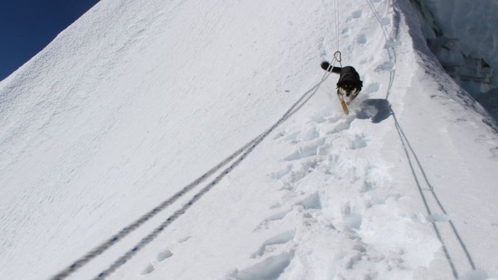 Lẽo đẽo theo sau đoàn leo núi, cô chó hoang lập kì tích khi lên tới đỉnh dãy Himalaya cao hơn 7000 mét - Ảnh 4.