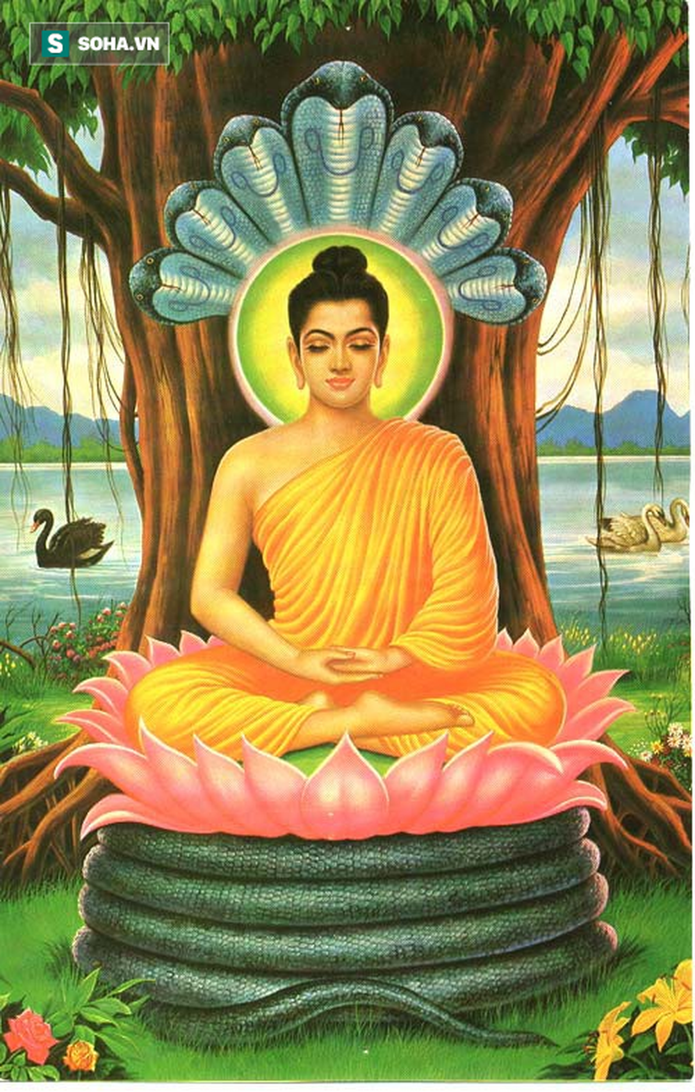 Câu chuyện cuộc đời Đức Phật và lời răn cuối cùng của Ngài trước khi đi vào cõi Niết bàn - Ảnh 3.