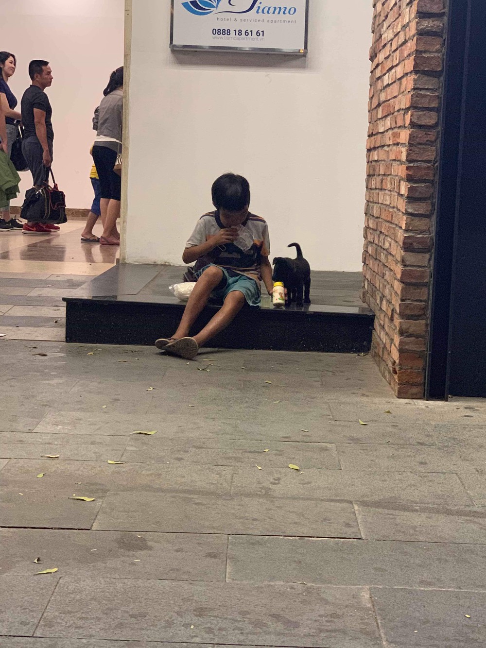 Cậu bé bán vé số chia đôi hộp sữa cho chú chó: Tiết lộ khoảnh khắc gặp gỡ đầy xúc động - Ảnh 3.