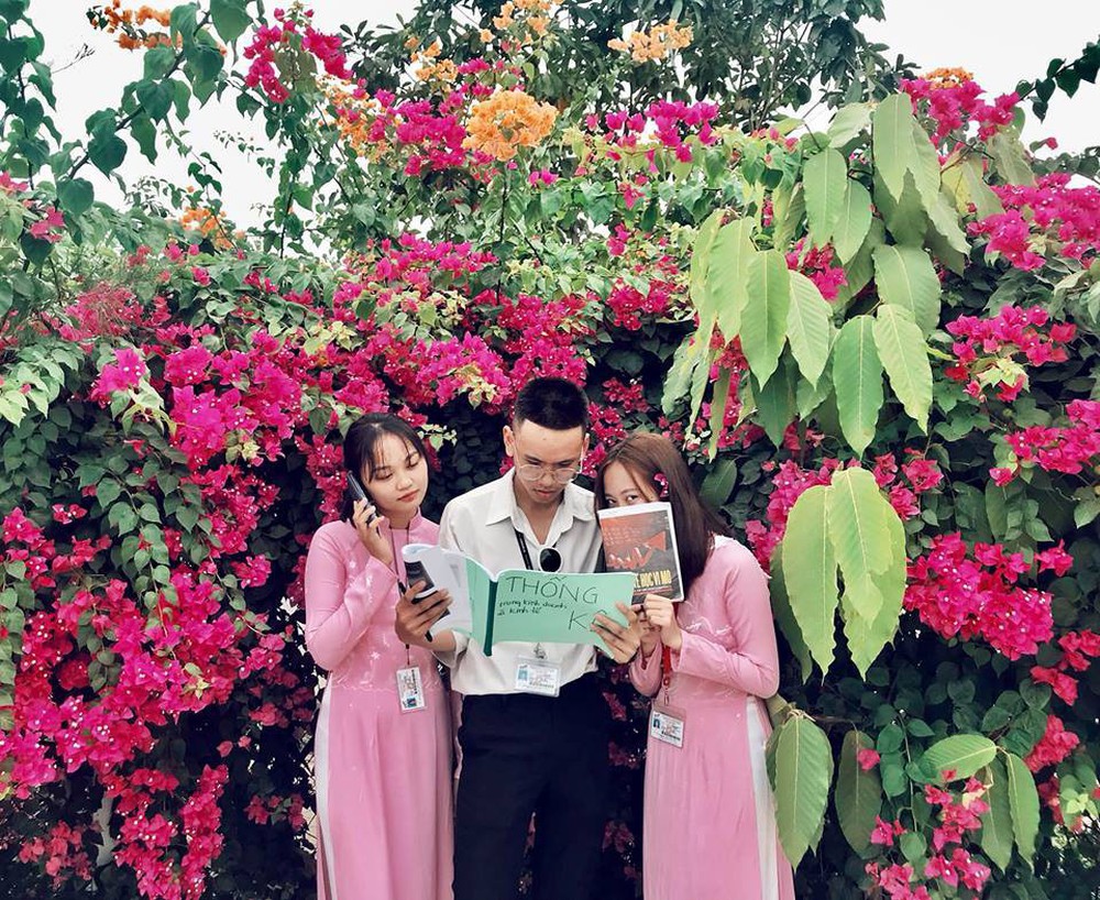 Chụp cả trăm kiểu đều đẹp, đây là giàn hoa được dân sống ảo truy lùng tại một trường đại học ở Việt Nam - Ảnh 11.
