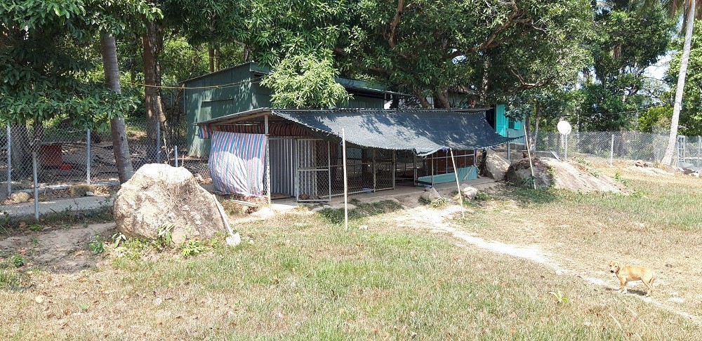 Một ngày kỳ thú ở trại bảo tồn thần khuyển nước Nam - Ảnh 10.