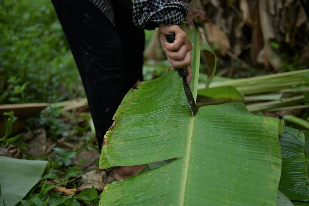 Nghề độc ở Hà Nội: Bán lá chuối rừng, kiếm hàng chục triệu đồng mỗi tháng - Ảnh 7.