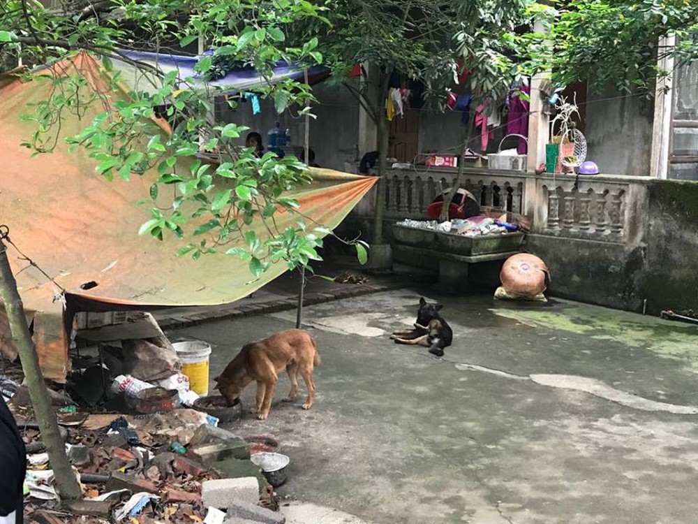 Bố bé trai bị đàn chó dữ cắn tử vong nói con mình rất sợ chó, không dám đi đâu một mình - Ảnh 3.