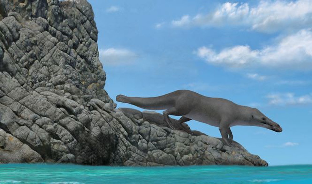 Chuyện lạ có thật: Cá voi có 4 chân, nhỏ như con chó - Ảnh 1.