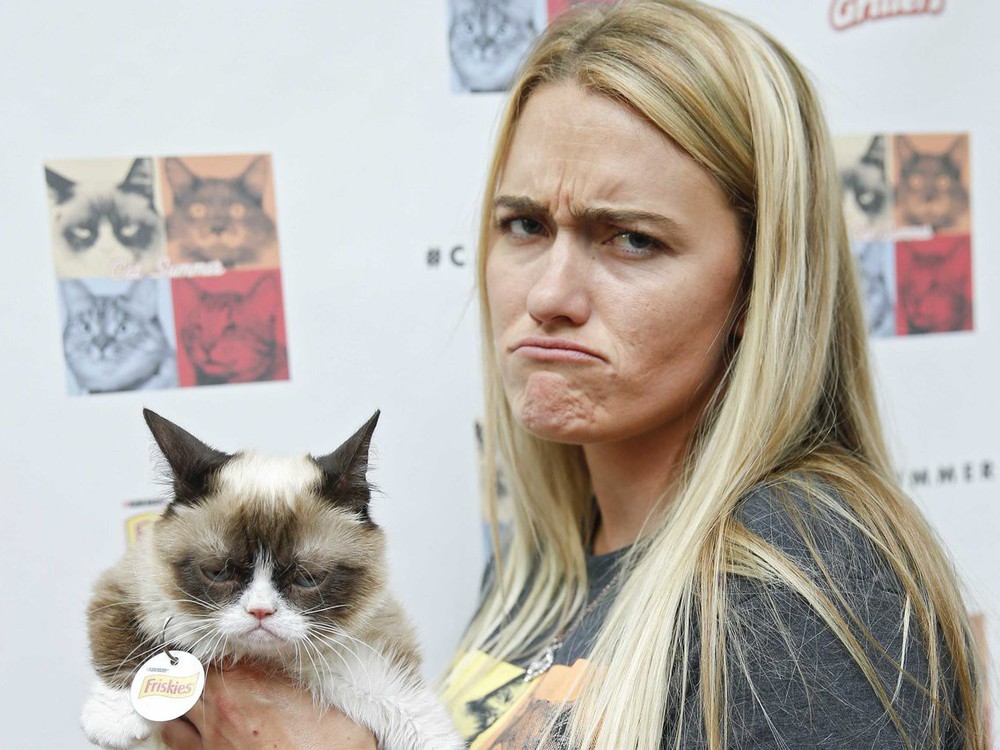 Grumpy Cat - cô mèo cáu kỉnh nhất thế giới với hơn 8 triệu người theo dõi đã qua đời - Ảnh 5.