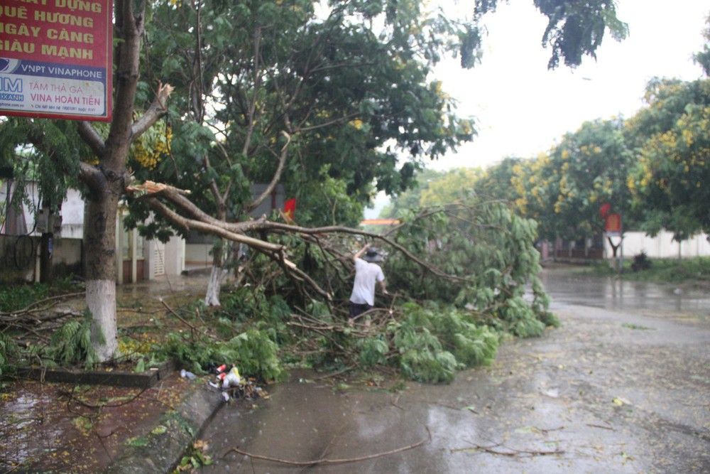 Mưa đá, gió lốc càn quét Nghệ An, Hà Tĩnh khiến nhiều nhà hư hỏng, cây đổ hàng loạt - Ảnh 1.