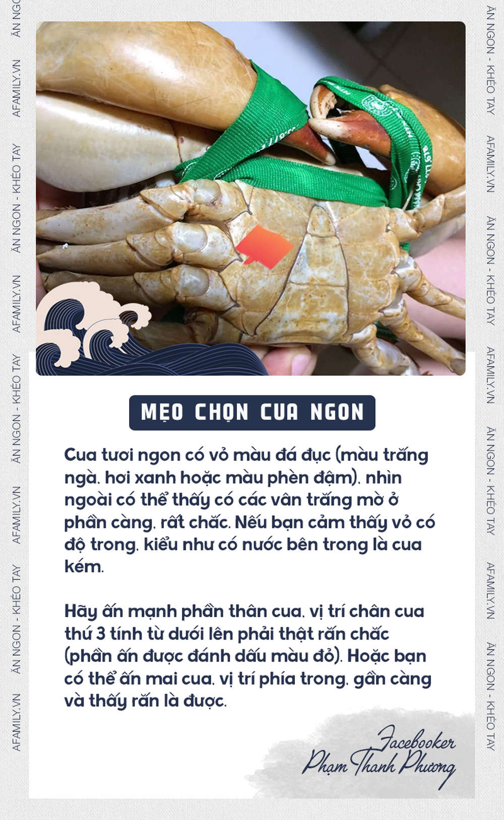 Xem ngay mẹo chọn cua của “chuyên gia” để không bị phí tiền vì mua phải cua óp thịt kém tươi - Ảnh 2.