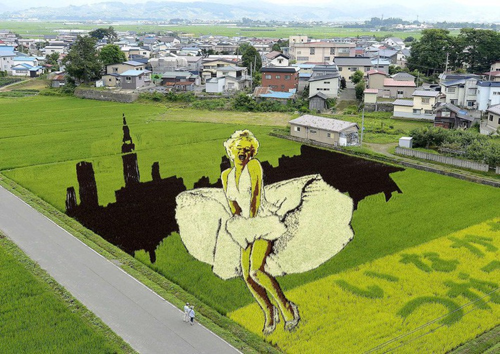 Biến ruộng lúa thành tranh vẽ đẹp như mơ, làng quê nghèo nước Nhật tưởng bị quên lãng bỗng trở thành điểm du lịch nổi tiếng - Ảnh 8.