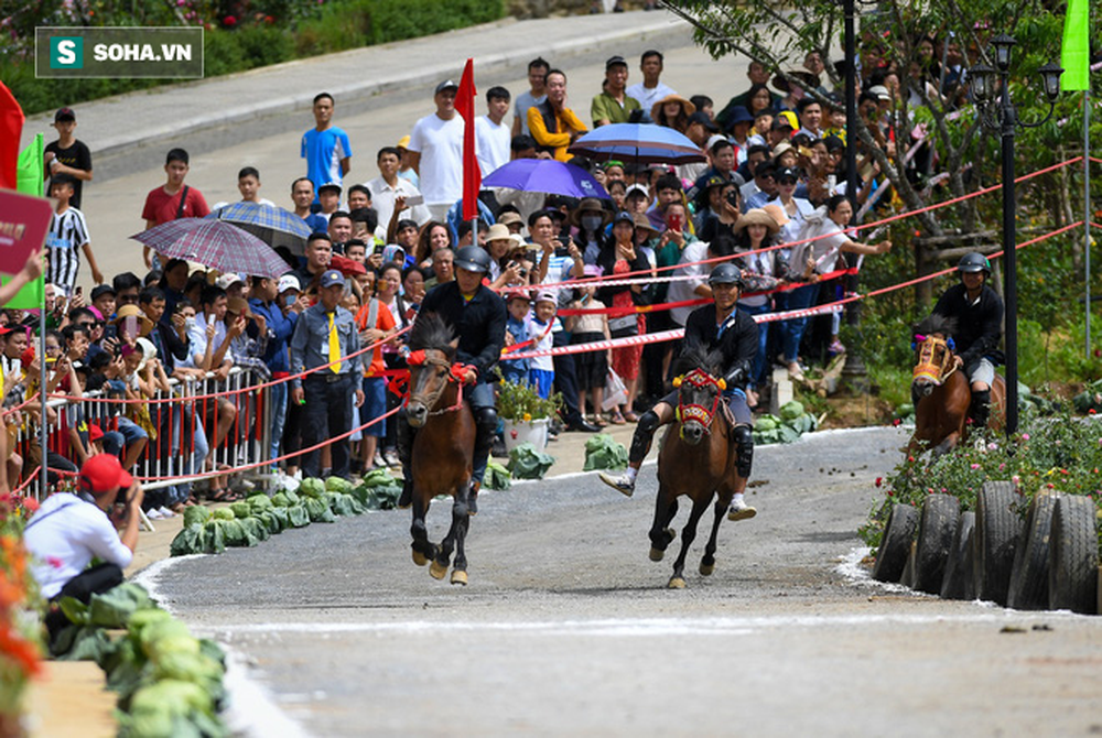 Mãn nhãn xem hàng chục chú ngựa tranh tài giải Vó ngựa trên mây ở Fansipan - Ảnh 23.