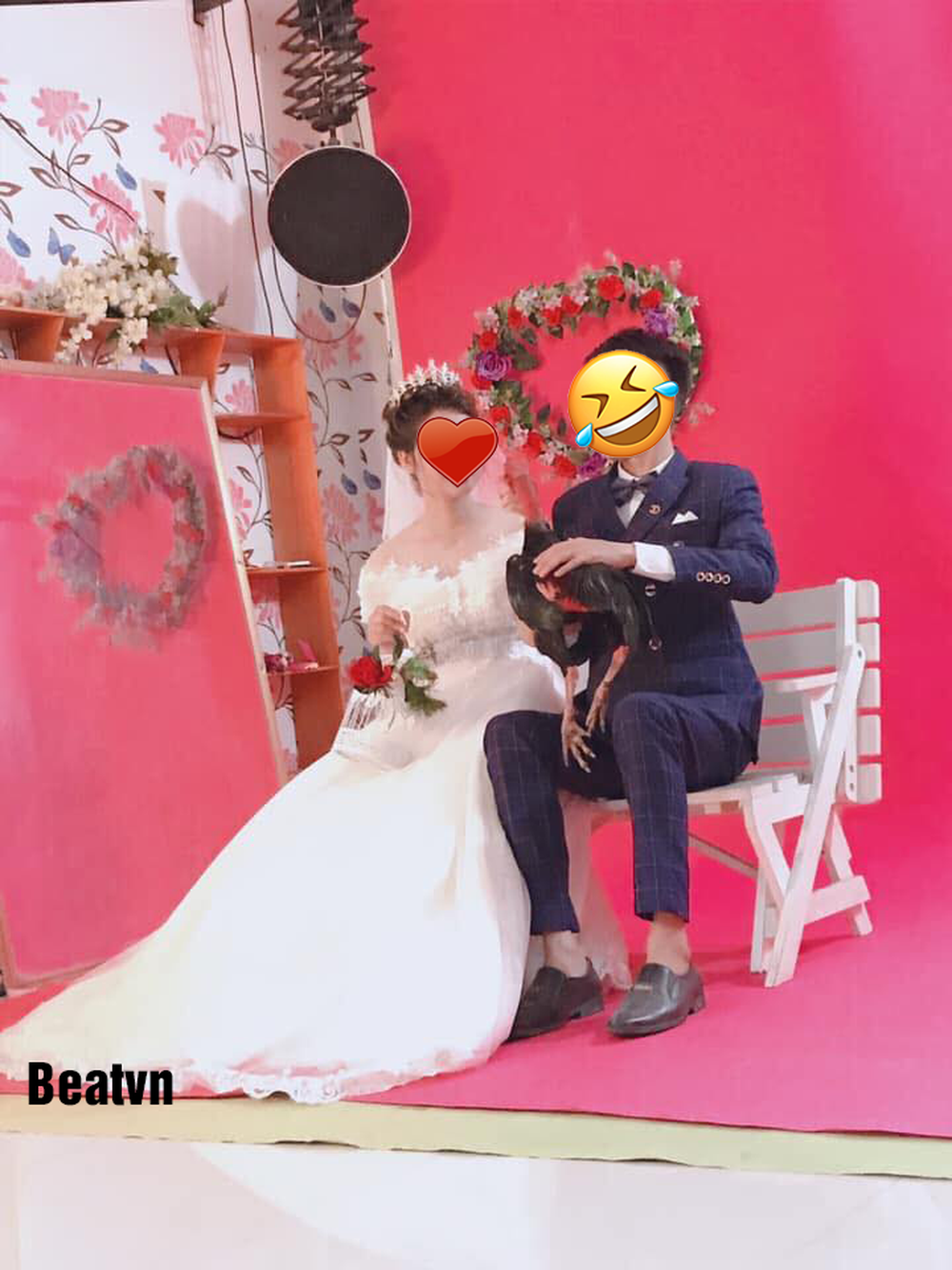 Cặp đôi mang gà chọi đi chụp hình cưới khiến thợ ảnh méo mặt - Ảnh 1.