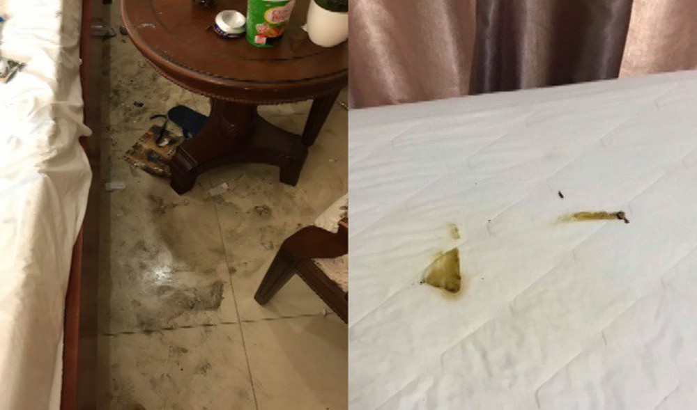 Cặp đôi lén lút mang chó vào khách sạn, ra về để lại căn phòng kinh hãi - Ảnh 2.