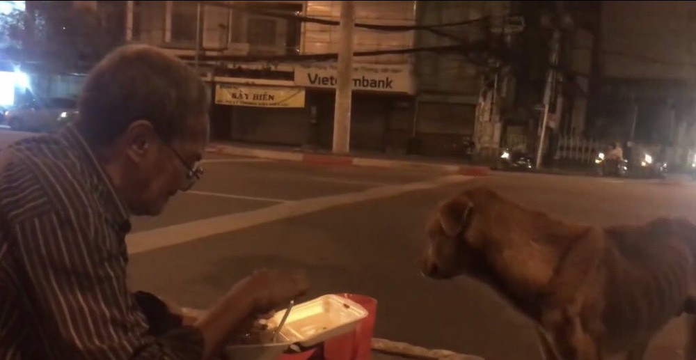 Hình ảnh cay mắt ở góc phố Sài Gòn: Cụ ông vô gia cư nhường áo, bón từng thìa thức ăn cho 2 con chó bị bỏ rơi - Ảnh 5.
