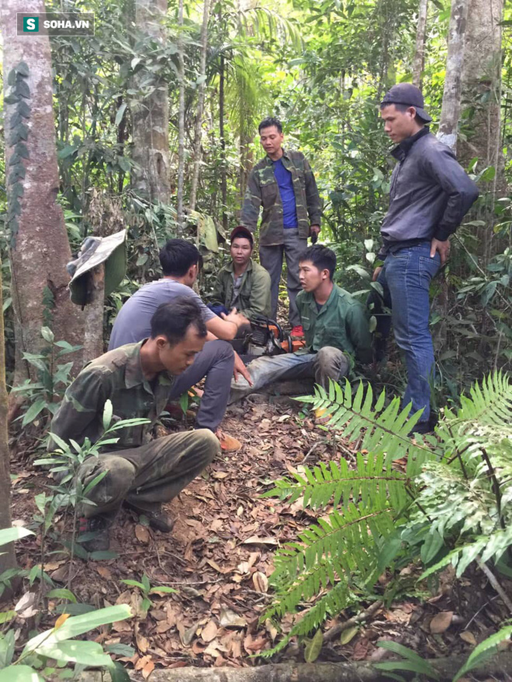 Đội đặc nhiệm mật phục 5 tháng bắt quả tang trưởng thôn phá rừng, xẻ nhiều cây gỗ khủng - Ảnh 1.