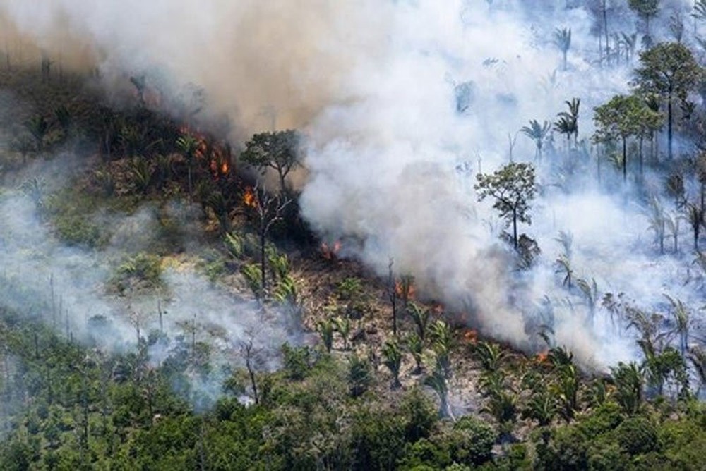 Những hình ảnh đau đớn vì cháy rừng Amazon - Ảnh 3.