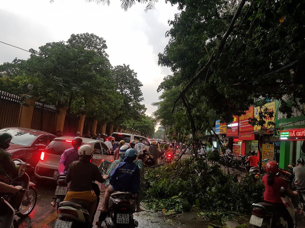 Mưa giông dữ dội từ cuối chiều ở Hà Nội, 1 nam thanh niên bị cây si đổ trúng tử vong - Ảnh 31.