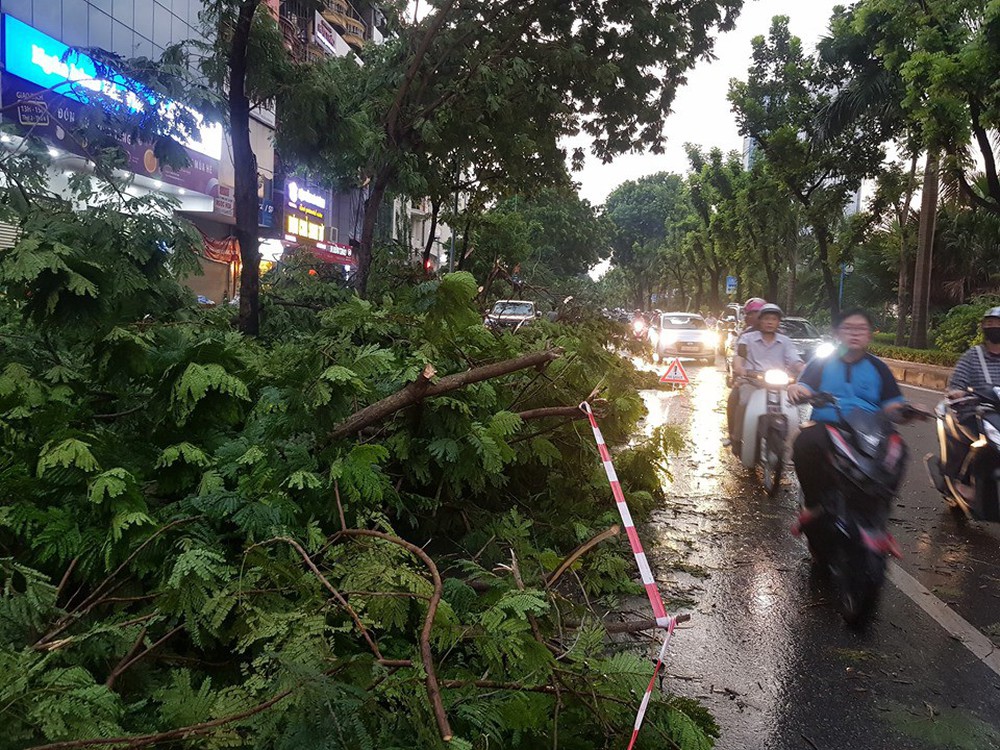 Mưa giông dữ dội từ cuối chiều ở Hà Nội, 1 nam thanh niên bị cây si đổ trúng tử vong - Ảnh 20.