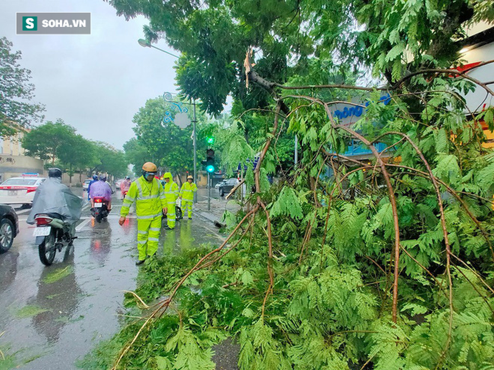 [Ảnh] Người dân, công an đội mưa dọn hàng loạt cây xanh bật gốc trên phố Hà Nội sau cơn bão số 3 - Ảnh 10.