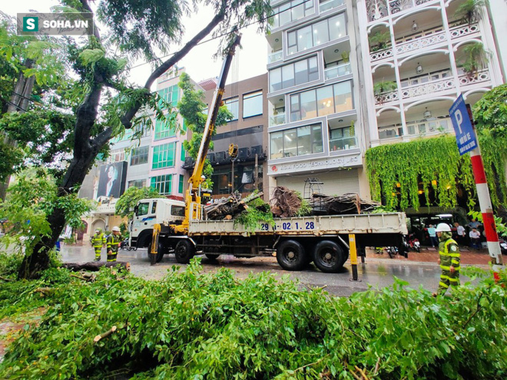 [Ảnh] Người dân, công an đội mưa dọn hàng loạt cây xanh bật gốc trên phố Hà Nội sau cơn bão số 3 - Ảnh 5.
