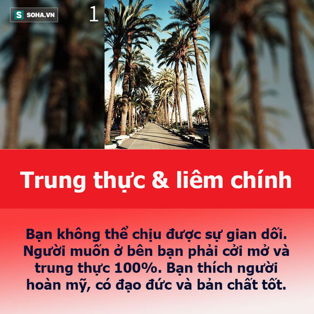 Bạn muốn tìm được người bạn đời thế nào, hãy chọn con đường mình thích rồi xem luận giải - Ảnh 2.