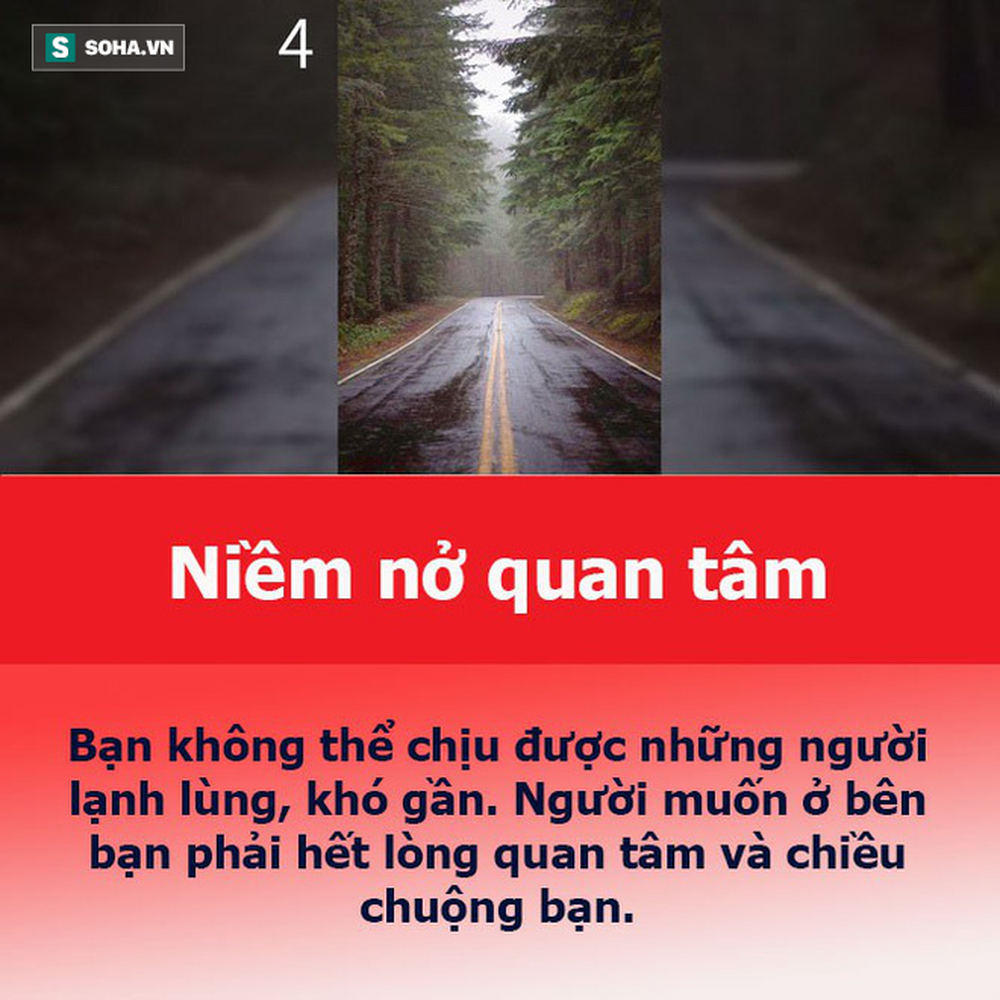 Bạn muốn tìm được người bạn đời thế nào, hãy chọn con đường mình thích rồi xem luận giải - Ảnh 5.