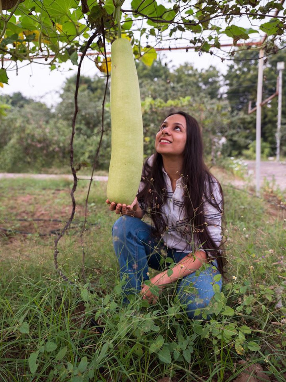 Nữ kỹ sư trẻ xinh đẹp quyết tâm về quê làm vườn trồng rau sạch cho gia đình thưởng thức - Ảnh 4.