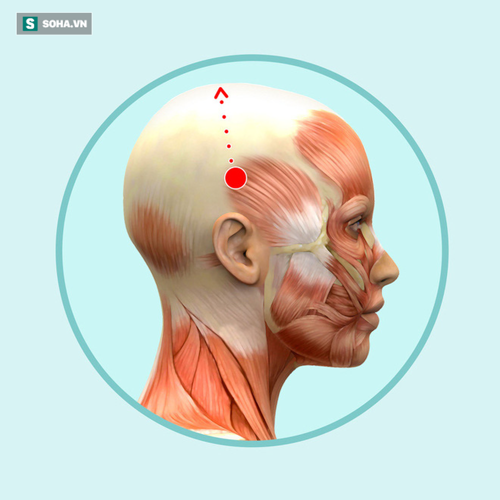 Bài mát xa đầu giúp trẻ hóa toàn bộ khuôn mặt, lưu thông khí huyết và ngăn ngừa bệnh tật - Ảnh 2.